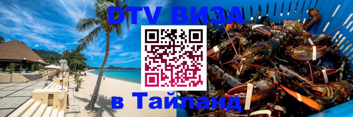 Сколько стоит DTV виза — актуальные цены, оформление даже без документов - 04.10.2025 